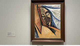 New York City - MoMA - Van Gogh - Starry Night