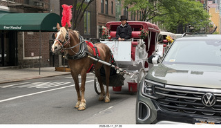 3 a2v. New York City - horse-drawn carriages