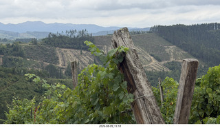 126 a2y. Spain - Bilbao wine tour - winery