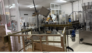 178 a2y. Spain - Bilbao wine tour winery - winemaking process