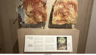85 a2y. Spain - Museo de Altamira sign