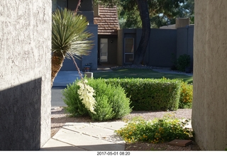 new camera - view from my front door