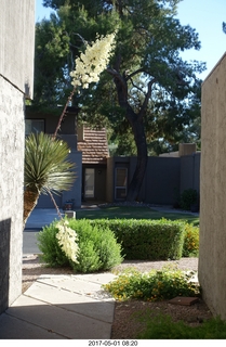 new camera - view from my front door